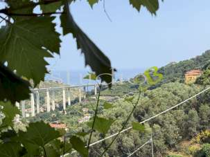 Verkauf vendita, Ventimiglia
