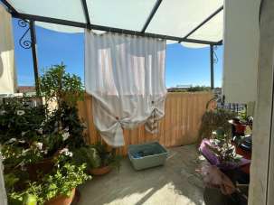 Venta Pentavani, Carrara