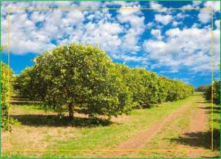 Venta Casas, Floridia