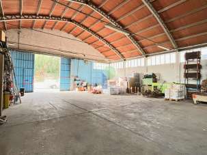 Vendita Quadrivani, Montescudaio