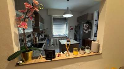 Vendita Pentavani, Collecchio Vendita Pentavani, Collecchio