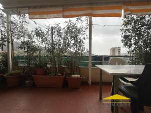 Venta Dos habitaciones, Carrara