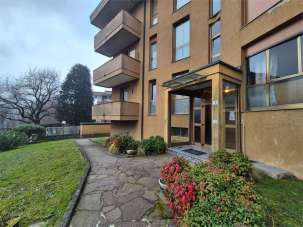 Venta vendita, Lipomo