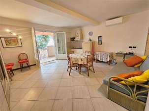 Vendita vendita, Cervo