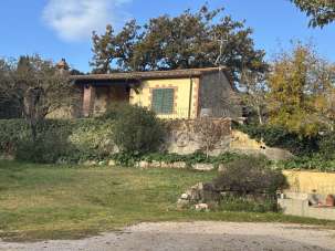 Sale Attività commerciale, Campagnatico