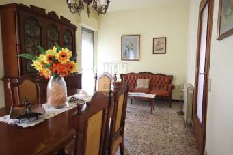 Sale Pentavani, Lucca