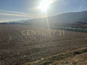 Vendita Monovano, Tregnago