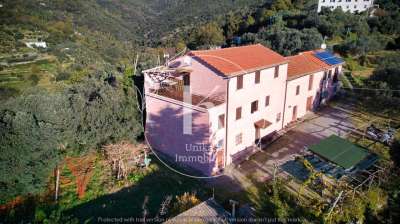 Vendita Multivani, Savona