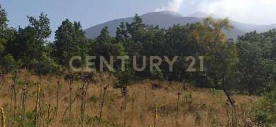 Vendita Bivani, Biancavilla Vendita Bivani, Biancavilla