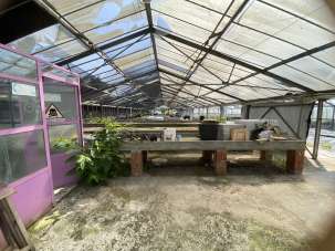 Vendita Case, Settala