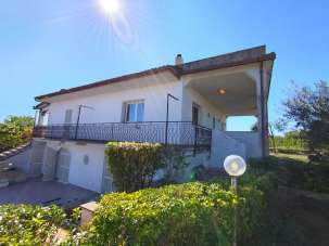 Vendita Multivani, Nettuno