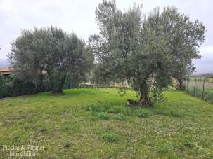 Vendita Quadrivani, Tuoro sul Trasimeno