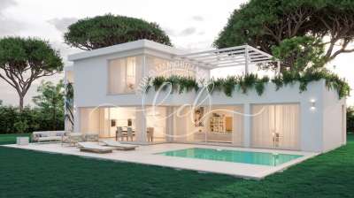 Vendita Multivani, Pietrasanta