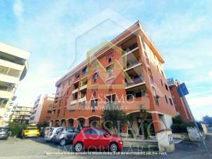 Vendita Trivani, Roma