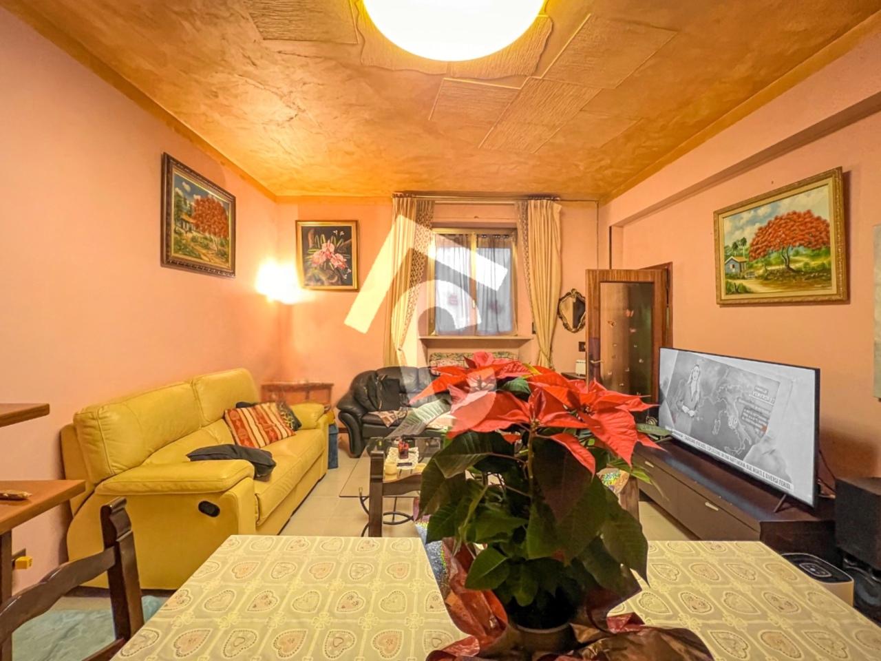 Vendita Esavani, Jesi foto