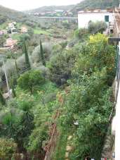 Vendita Multivani, Castellaro Vendita Multivani, Castellaro