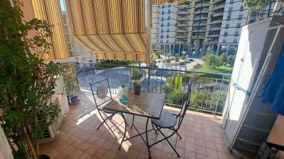 Vendita Trivani, Taggia