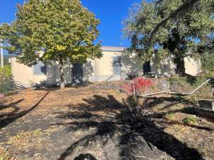 Vendita Multivani, Zafferana Etnea