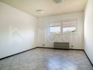 Affitto Monovano, Livorno