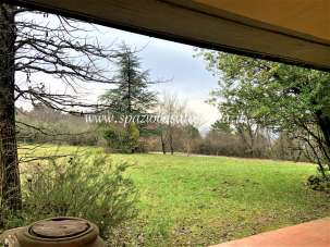 Vendita Multivani, Prato Vendita Multivani, Prato