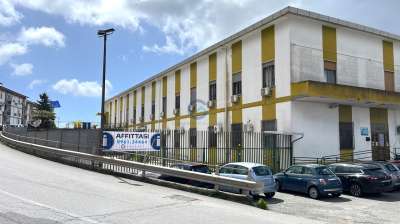 Affitto Multivani, Catanzaro