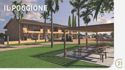 Vendita Trivani, Grosseto