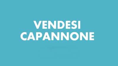 Vendita Industriale, Colognola ai Colli