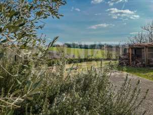 Vendita Quadrivani, Jesi