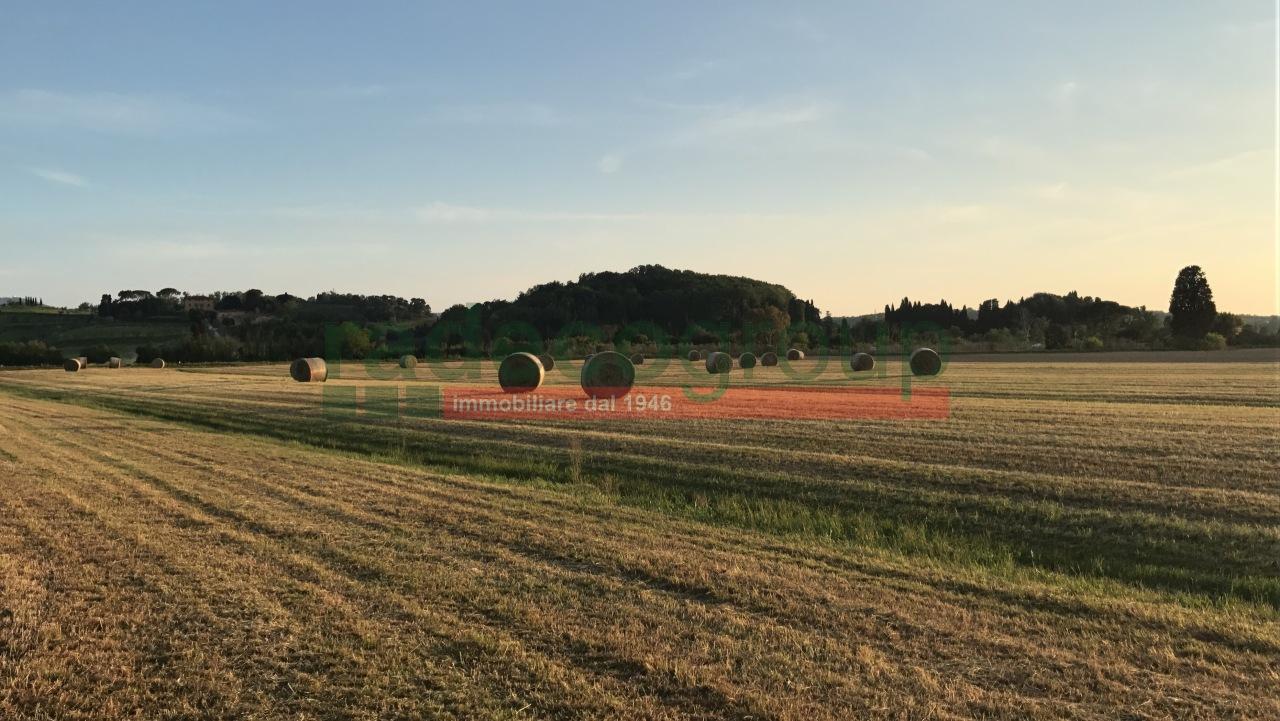 Affitto Case, Collesalvetti foto