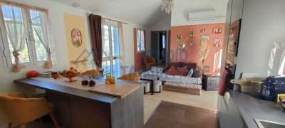 Vendita Trivani, Imperia