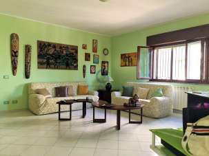 Renta Trivani, Catanzaro