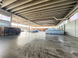 Affitto Trivani, San Bonifacio Affitto Trivani, San Bonifacio