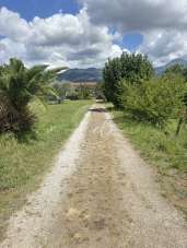 Venta Eptavani, Pietrasanta