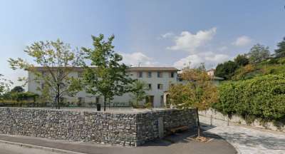 Vendita Trivani, Erba