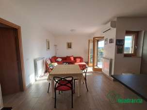 Vendita Quadrivani, Amelia