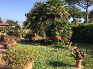 Venta Pentavani, Livorno Venta Pentavani, Livorno