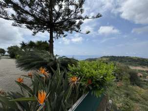 Vendita Multivani, Castellaro Vendita Multivani, Castellaro