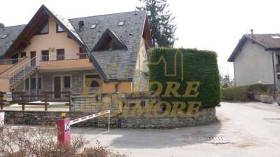 Sale Trivani, Premeno Sale Trivani, Premeno