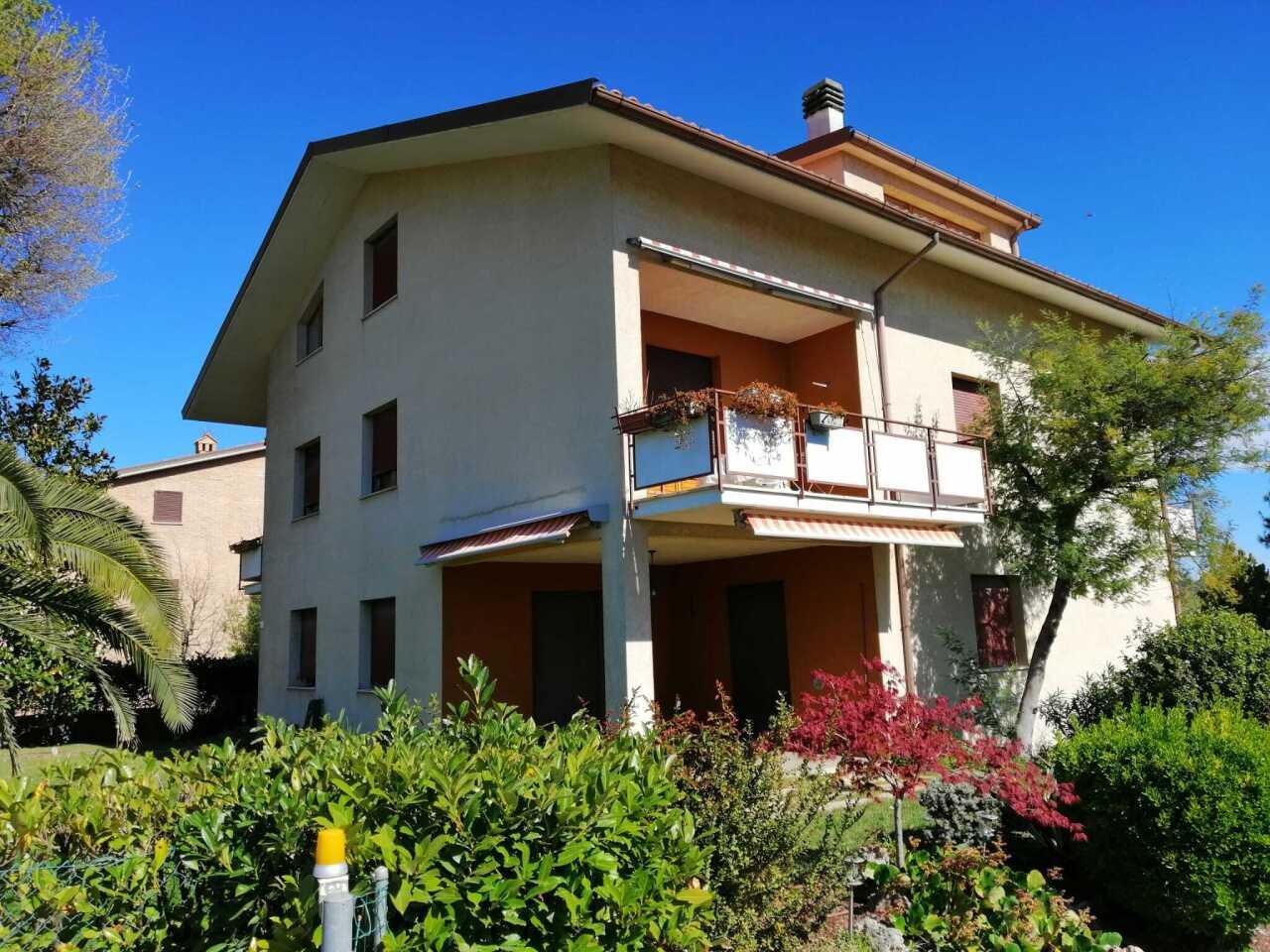 Vendita Multivani, Corinaldo foto