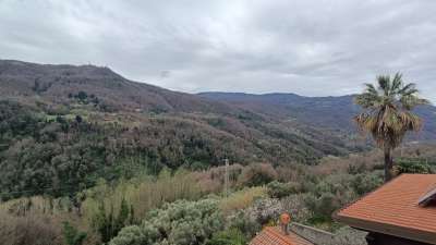 Vendita Pentavani, Conflenti