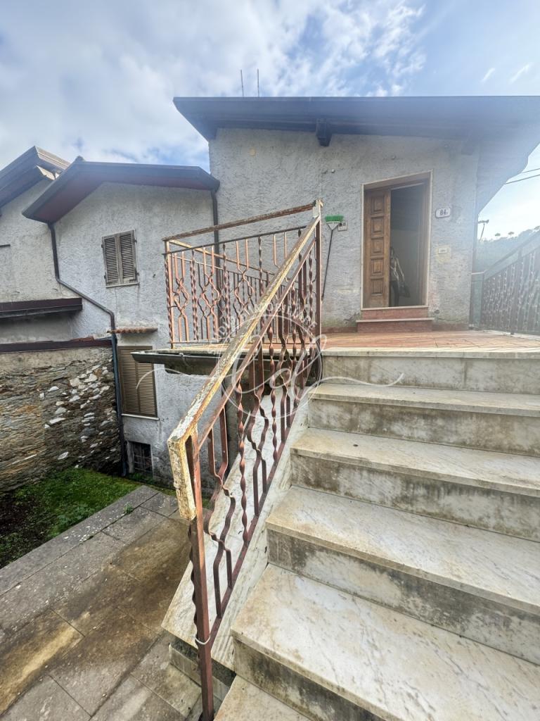 Vendita Multivani, Seravezza foto