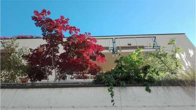 Vendita vendita, Albavilla