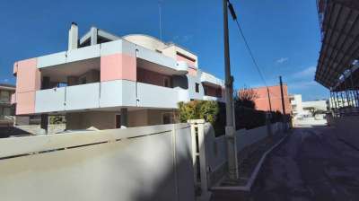 Vendita Esavani, Monopoli Vendita Esavani, Monopoli