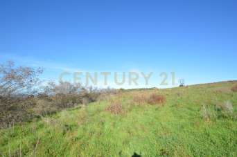 Vendita Monovano, Grosseto