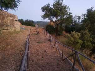 Sale Rustico, Roccalbegna