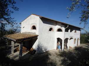 Venta Attività commerciale, San Miniato