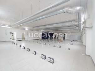 Affitto Capannone, Porcari