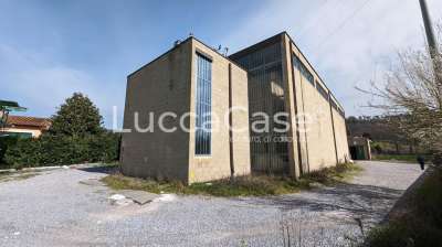 Affitto Capannone, Lucca