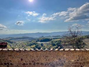 Venta Attività commerciale, Murlo