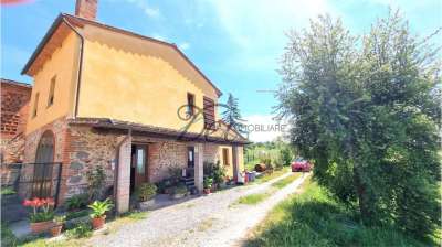 Vendita vendita, Montecarlo